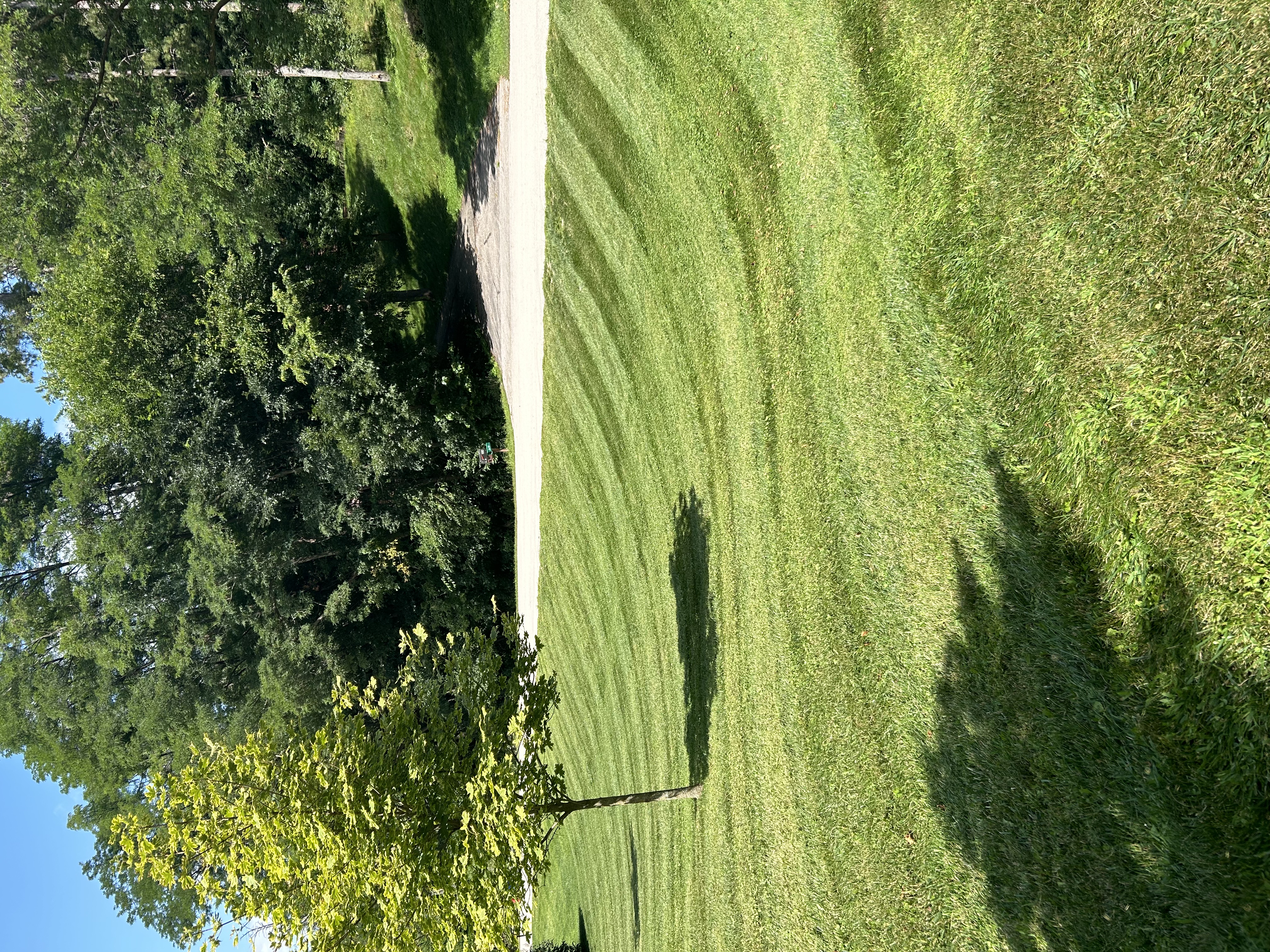 Freshly mowed lawn with striped pattern and driveway