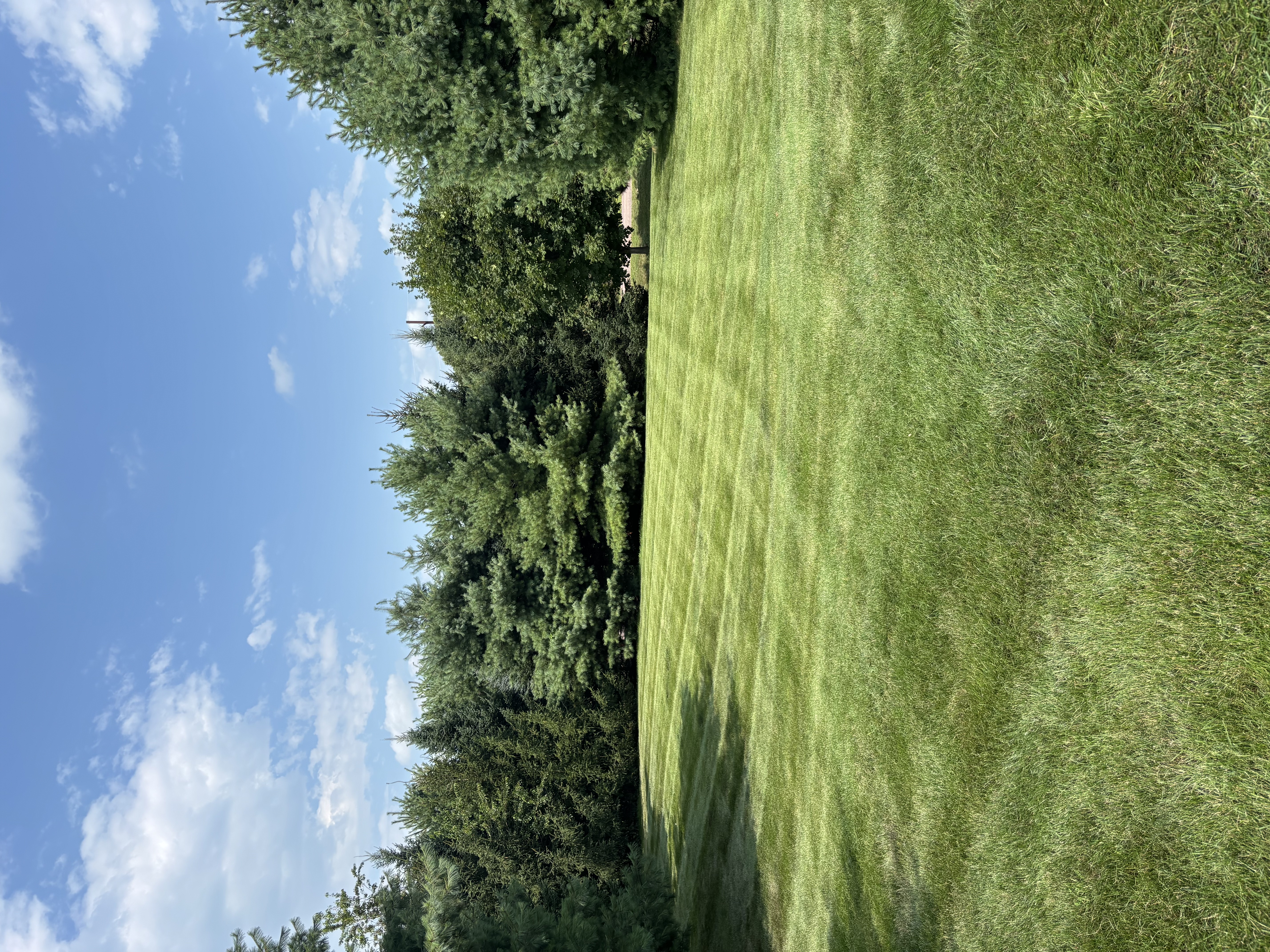 Open lawn with tree line and blue sky
